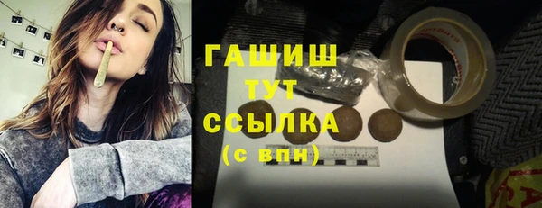 молекула духа Няндома