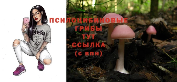 прущий лед Аркадак