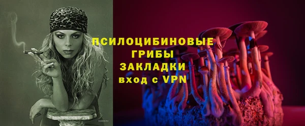 молекула духа Няндома