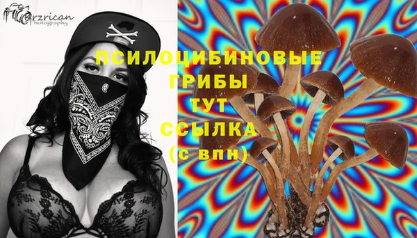 прущий лед Аркадак