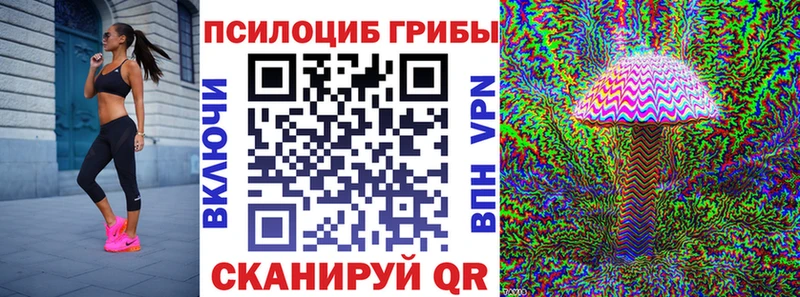 хочу наркоту  Суворов  Псилоцибиновые грибы Psilocybine cubensis 